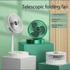 Telescopic Folding Fan