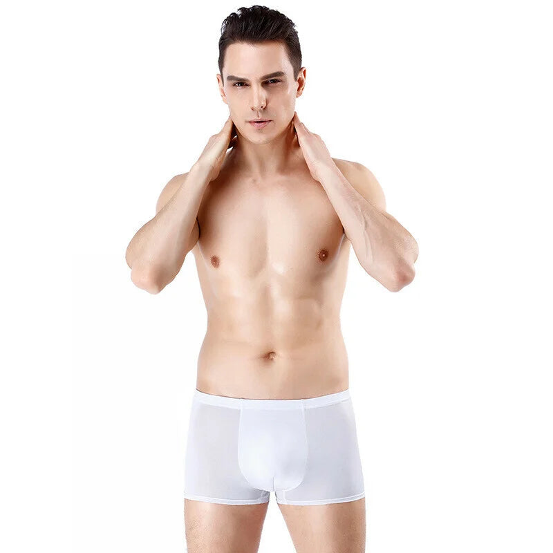 Best Gift For Him-Men's Ice Silk Breathable Underwear (Buy 1 Get 1 Free)