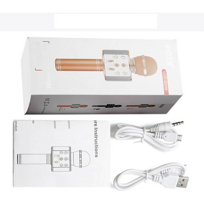 3-in-1 Bluetooth Karaoke Microphone with Speaker & Recorder