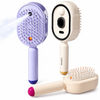 Multifunctional Hair Massage & Mist Brush
