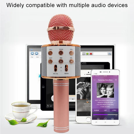3-in-1 Bluetooth Karaoke Microphone with Speaker & Recorder