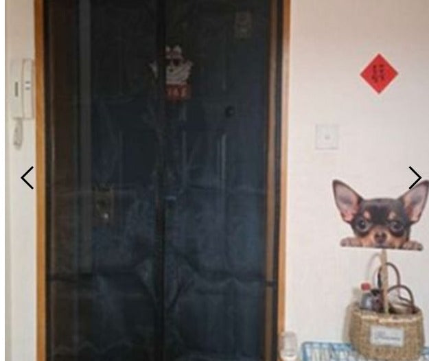 Anti-Mosquito Curtains