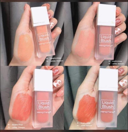 4in1 Liquid Blush Set