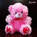 Cute Pink Teddy