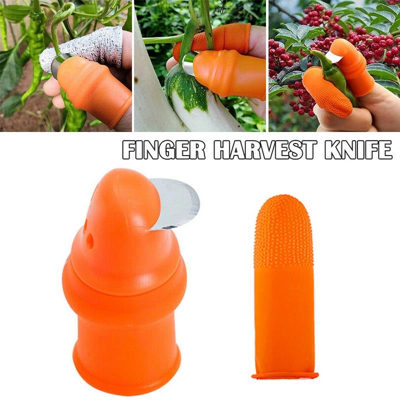 Silicone Thumb Cutter (Pack Of 3)
