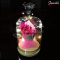 LED Jar with Colorful Rose Y4