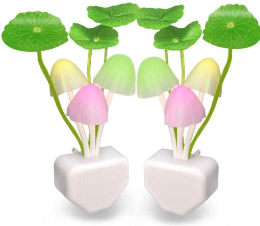 Mushroom Night Light ( Buy one get one free)