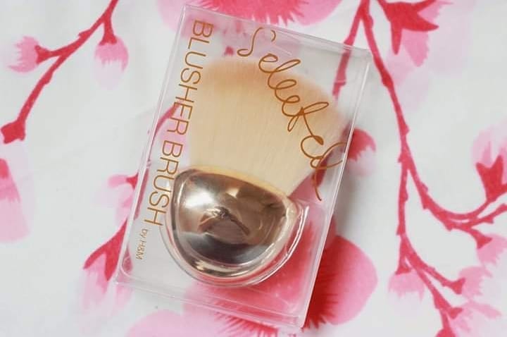 blusher brush by h&m