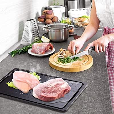 Fast Defrosting Tray Thaw Frozen Food.