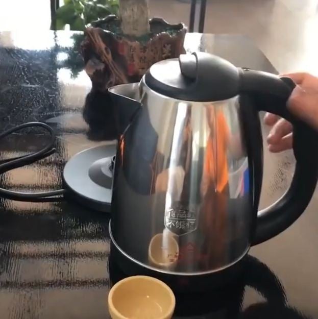 360 Degree Rotation Electric Kettle
