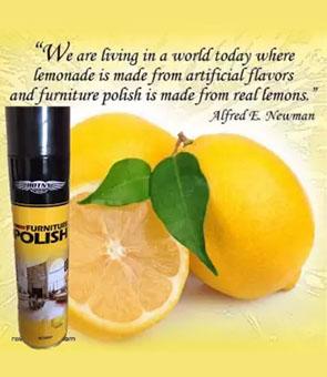 FURNITURE POLISH BOTNY