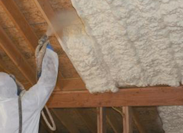 Polyurethane Foam Spray and Straw Dual Action