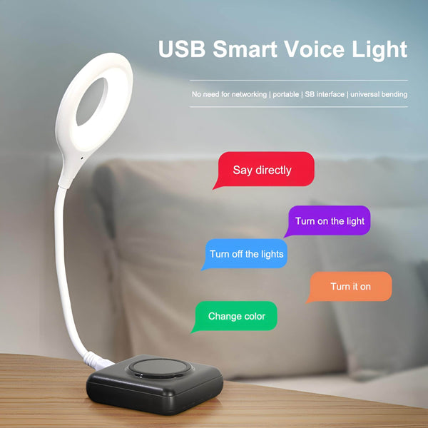 USB Smart Voice Light