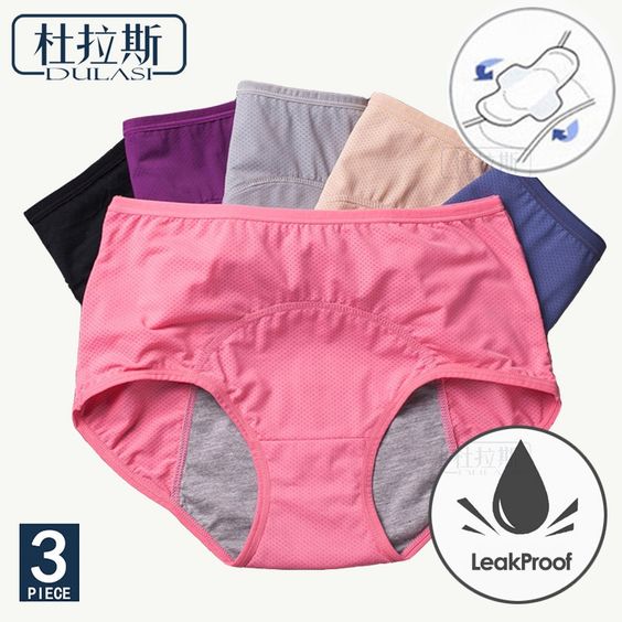 Leakage Proof Period's Panties