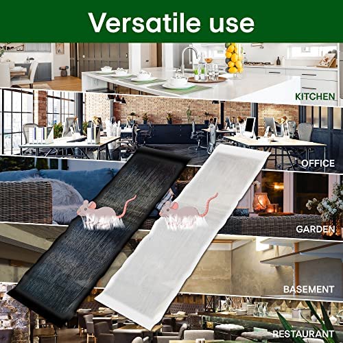 Heavy Sticky Indoor Mouse Trap pad