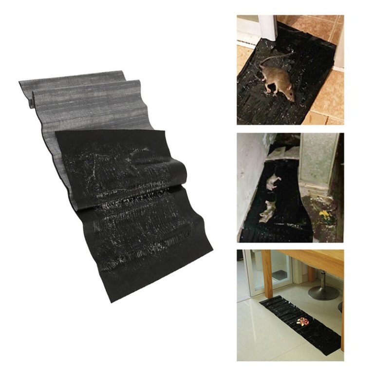 Heavy Sticky Indoor Mouse Trap pad