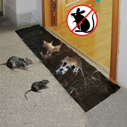 Glue Pad Mousetrap Large Trap Sticky Device Insect
