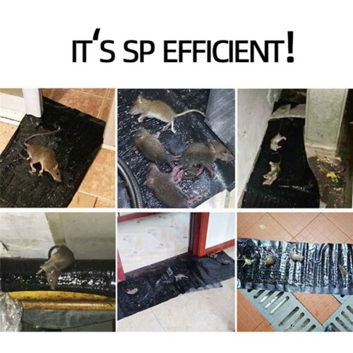 Glue Pad Mousetrap Large Trap Sticky Device Insect
